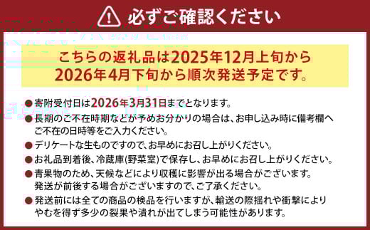 にべさんちの苺 熊本県産イチゴかおり野 約520g【2025年12月上旬発送開始】 苺 いちご フルーツ 果物 熊本