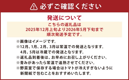 麗妃トマト（栽培自慢） 約2kg 【2025年12月上旬発送開始】 野菜 やさい とまと トマト 熊本県産 国産