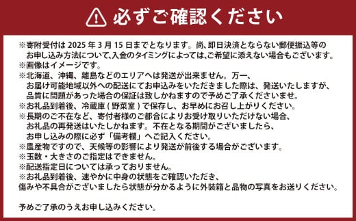 熊本県宇城市産 イチゴ 恋みのり 250g×4パック 合計約1kg 【2026年2月上旬発送開始】 いちご 苺 こいみのり 果物 くだもの フルーツ 果実 果肉 おやつ 熊本県産