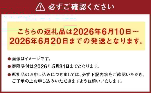 熊本県産 肥後グリーンメロン 2玉 メロン くだもの 果物 フルーツ 【2026年6月10日より発送開始】