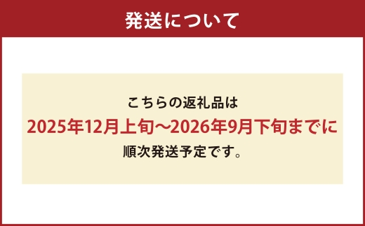 【 令和7年度産 】 熊本県産くまさんの輝き 5kg 国産 熊本県産 お米 米 コメ ご飯 白米 くまさんの輝き 【 2025年12月上旬発送開始 】