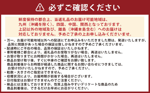 熊本県産 金色羅皇 ( 高級 西瓜 ) 約5kg 1玉 スイカ すいか フルーツ くだもの 果物 熊本 国産 【2026年5月下旬発送開始】