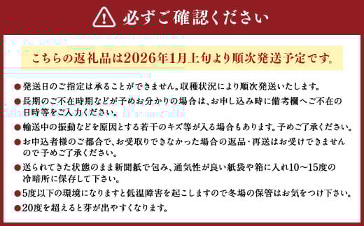 熊本県産 シルクスイート ・ 紅はるか 食べくらべ セット 各約1.5kg 合計約3kg 【2026年1月上旬発送開始】 さつま芋 さつまいも 芋 いも 食べ比べ べにはるか 野菜 やさい