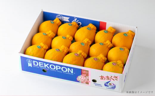 熊本県産 デコポン 約5kg 蜜柑 みかん 柑橘 果物 くだもの フルーツ 【2026年3月上旬発送開始】