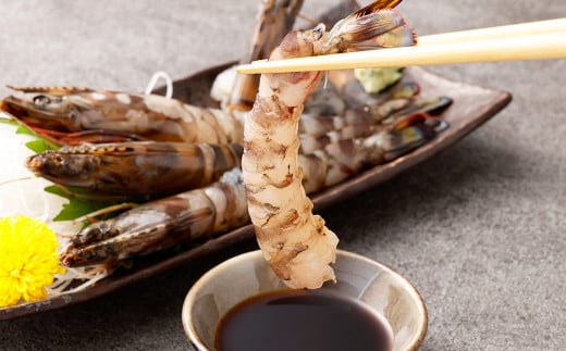 熊本県産冷凍活車エビ（養殖） 約500g 車エビ 海老 えび シーフード おつまみ 冷凍 熊本県産