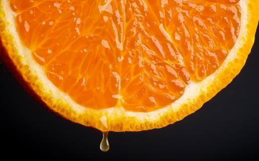 長期熟成 蔵熟 デコポン 約2.5kg 【2026年4月上旬発送開始】 蜜柑 みかん ミカン 柑橘 かんきつ くだもの 果物 フルーツ 国産