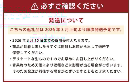 熊本県産 苺 旬の品種 （2種） 約1.5キロ 前後 いちご イチゴ フルーツ 果物 【2026年3月上旬発送開始】