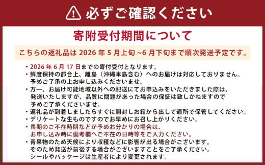 熊本県産大玉すいか ラオウザスイート1玉入り 1玉当たり約6kg 果物 フルーツ 西瓜 すいか スイカ 大玉 大玉スイカ 大玉すいか 常温 熊本県産 【2026年5月上旬発送開始】