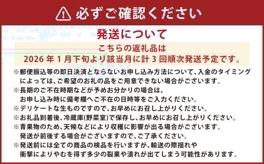 【3か月連続定期便】にべさんちの苺 熊本県産イチゴ食べ比べ定期便 (かおり野・桃薫・空音) 【2026年1月下旬発送開始】