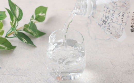 熊本 の おいしい お水 阿蘇 の メイスイ 2L × 6本 （ 1ケース ） 水 特級水 名水 飲料 飲み物 ドリンク ミネラルウォーター ケース 天然 九州 熊本県 阿蘇