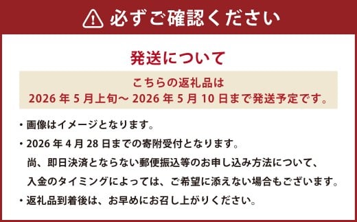 《 母の日 》 マスクメロン1玉とカーネーション1鉢 【2026年5月上旬発送（母の日）】 先行予約 果物 メロン 青肉 花 カーネーション 贈答 ギフト 贈り物