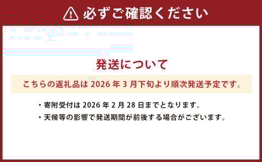 熊本県産 清見 約3kg 約7～9玉 柑橘 みかん 蜜柑 フルーツ 果物 くだもの 【2026年3月下旬発送開始】