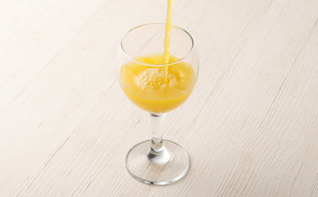 ジューシープレミアムデコポン飲料＆缶詰ギフトセット 紙パック