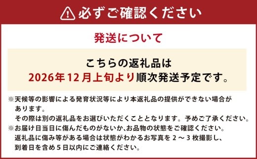 【年4回定期便】 デコポン約5kg（15～20玉入り）×4回 （計約20kg） 【2026年12月上旬発送開始】 でこぽん 果物 くだもの フルーツ 果実 果汁 定期便 年4回 贈り物 熊本県 熊本県産