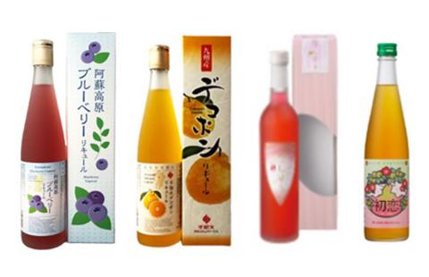 年6回定期便】熊本の魅力を12本のお酒で味わう『贅沢なリキュールの宝石箱』: 熊本県ANAのふるさと納税