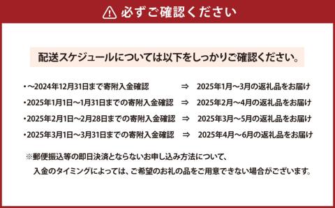 【2025年1月～4月より3か月連続発送】熊本便り！旬の柑橘堪能定期便