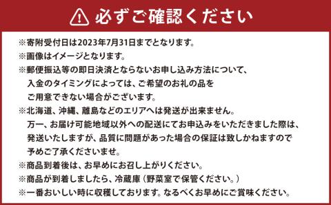 【秋の2ヵ月連続定期便】 熊本県産 旬のフルーツ ( 梨 約5kg・ シャインマスカット 2房 ) 定期便 なし マスカット 果物 くだもの