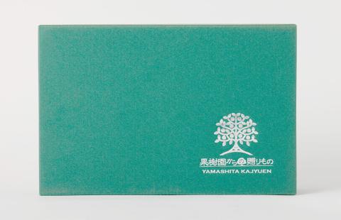 熊本 天草の果樹園 ゼリーギフト 100g×8個 合計800g 不知火 清見 ポンカン あまくさ晩柑 みかん