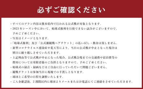 【2023年シーズン】火の国サラマンダーズ 公式戦始球式権利及び公式戦観戦ペアチケット付