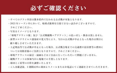 【2023年シーズン】火の国サラマンダーズ 公式戦球場アナウンス権及び公式戦観戦ペアチケット付