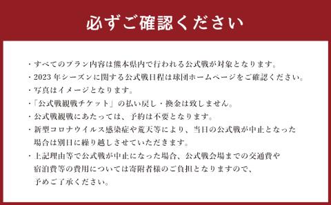 【2023年シーズン】火の国サラマンダーズ 公式戦チケット30枚セット