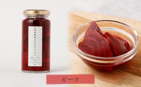 【熊本みなみピクルス】野菜好きな方におすすめ4本セット