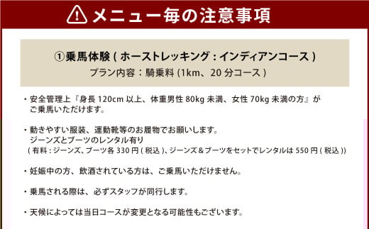 寄附額16,000円で選べる熊本の 観光体験 メニュー！（阿蘇エリア/県南エリア） 体験 チケット 観光 旅行