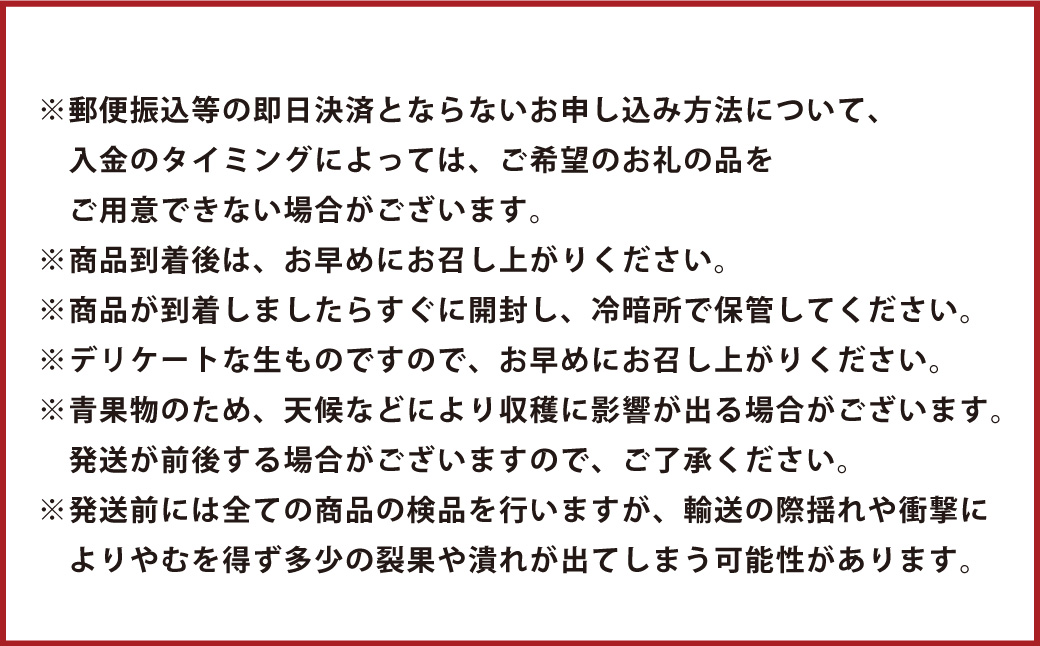 【年3回定期便】【2024年7月上旬発送開始】 くまもと 夏秋 フルーツ 定期便 ( 巨峰 ・ 梨 ・ 柿 )  ナシ かき 葡萄 ぶどう くだもの 果物