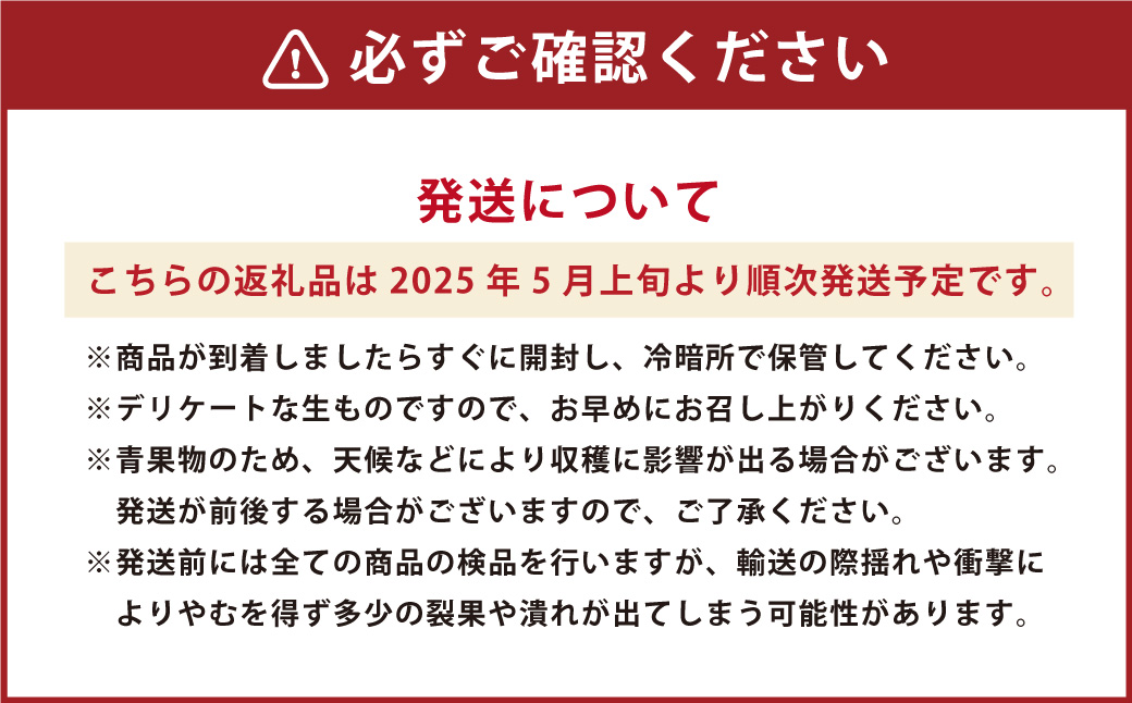 熊本県産 小玉すいか 1玉 1.5kg以上 【2025年5月上旬発送開始】 すいか スイカ 西瓜 くだもの 果物 フルーツ 国産