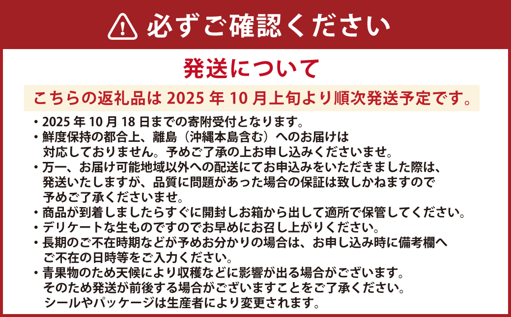 熊本県産 あけび 約3キロ前後 【2025年10月上旬発送開始】 フルーツ 果物 くだもの アケビ 熊本県 国産