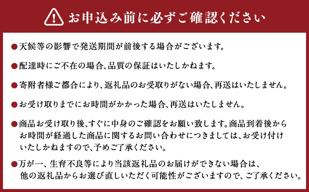 【6か月隔月定期便】旬の熊本フルーツ単品定期便 熊本県産 果物 毎月お届けギフト