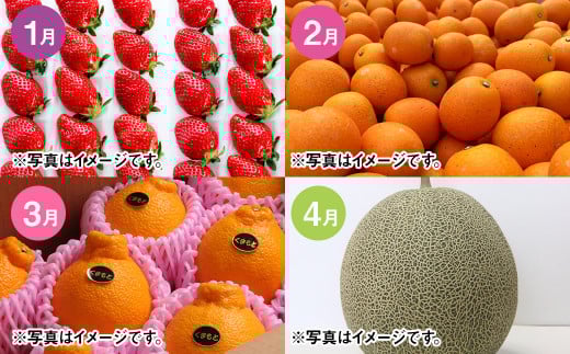 【年12回定期便】吉次園の熊本 フルーツ 定期便 ｜果物 くだもの 苺 いちご みかん 柑橘 メロン すいか 桃 ぶどう 梨 柿 みかんジュース