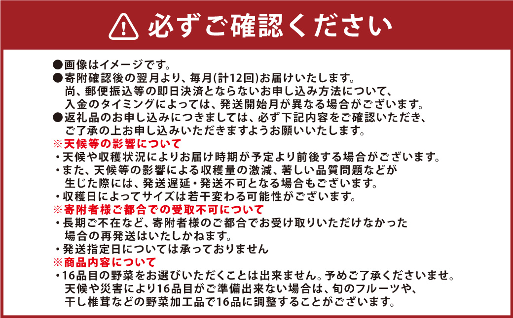 【12か月連続定期便】熊本季節の野菜セット 16品目 ｜ やさい 野菜 季節 旬 新鮮 定期便 熊本県 国産