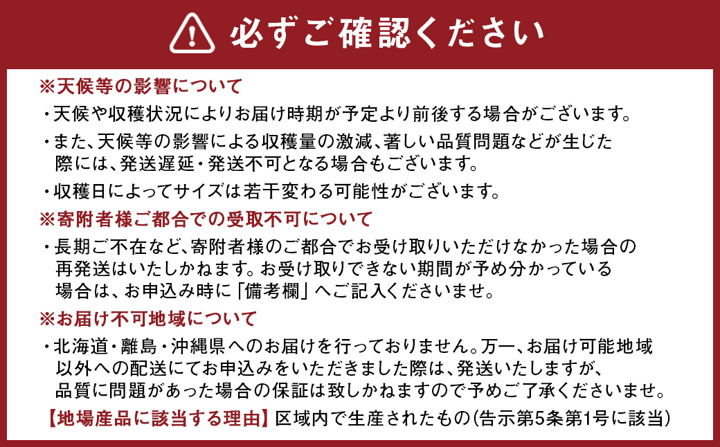 熊本県産 スイートコーン ミルキースイーツ 約5kg とうもろこし やさい 野菜 トウモロコシ 【2025年6月上旬発送開始】