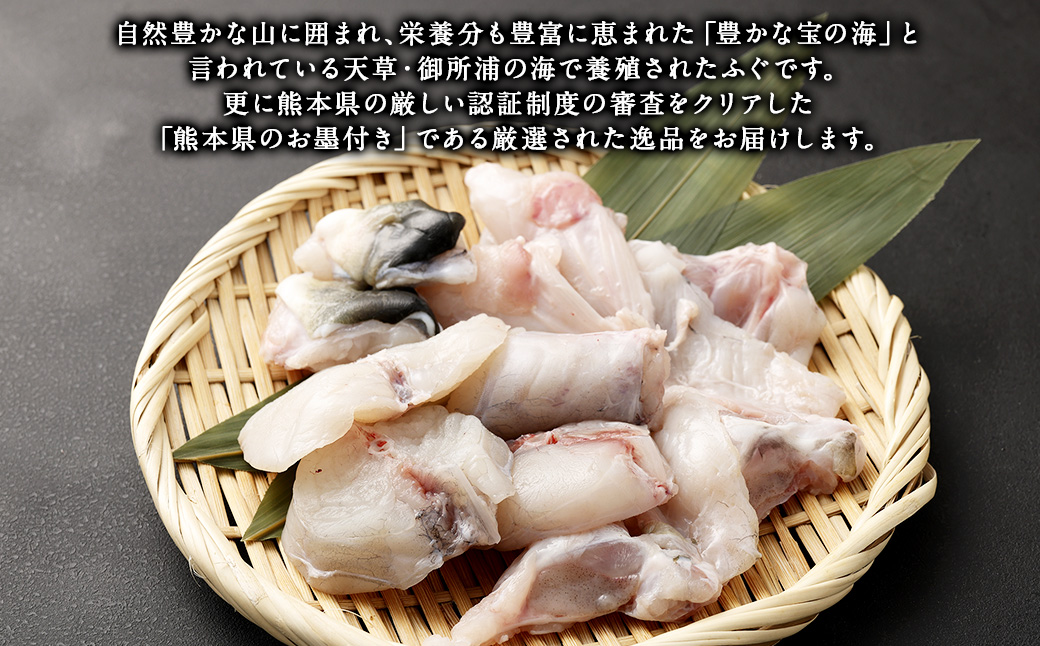 熊本県産ふぐ刺身1皿＆ぶつ切3パック＆本皮1カップ＆ポン酢もみじおろし7袋【Firesh】