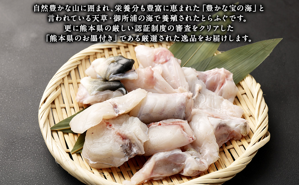 熊本県産とらふぐ刺身1皿＆ぶつ切り2パック＆本皮1カップ＆ポン酢もみじおろし4袋【Firesh】