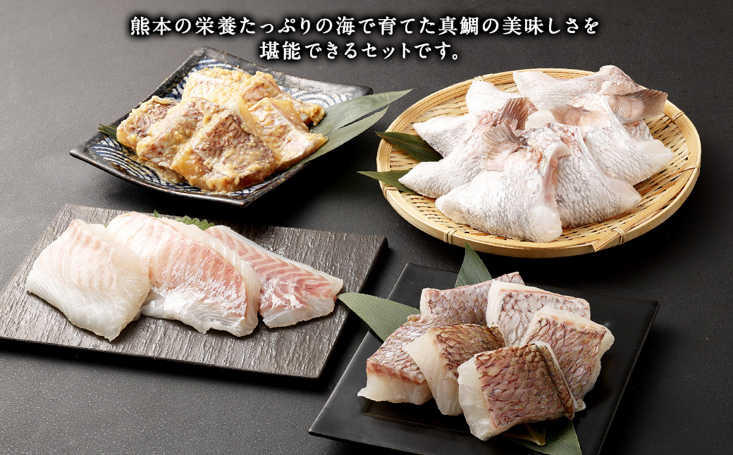 熊本県産真鯛の詰め合わせ【Firesh】 3種 セット 合計11パック