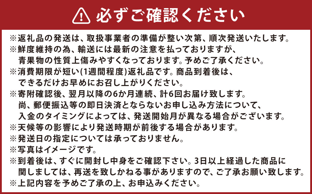 【6ヶ月定期便】熊本県フルーツ6ヶ月定期便