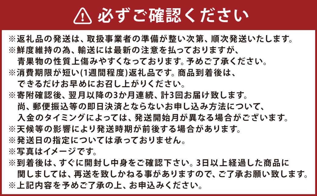 【3ヶ月定期便】熊本県フルーツ3ヶ月定期便