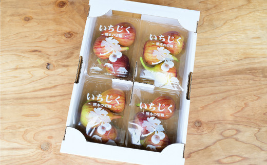 ハウスイチジク 約1kg （約250g×4パック）【2026年6月上旬発送開始】 果物 フルーツ いちじく イチジク 旬 旬の果物 旬のフルーツ 熊本県 合同会社宝ファーム