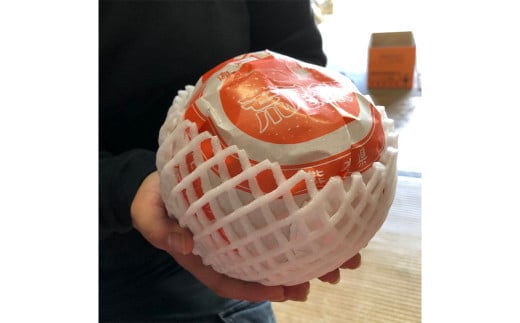 特産荒尾ジャンボ梨2個 約2kg 【2026年10月上旬発送開始】 果物 フルーツ なし 梨 くだもの