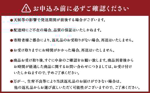 【6か月隔月定期便】旬の熊本フルーツ詰め合わせ定期便 熊本県産 果物 毎月お届けギフト