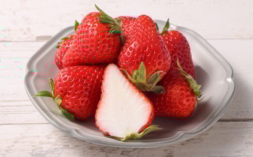 朝摘み当日発送！熊本県産いちご(ゆうべに) 約500g (250g×2パック） 【2026年1月上旬発送開始】