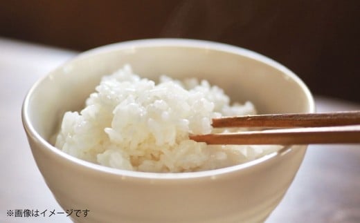 【令和7年度産】 熊本県産のお米5kg×2（計10kg） ひのひかり 精米 単一原料米 お米 米 【2025年11月上旬発送開始】