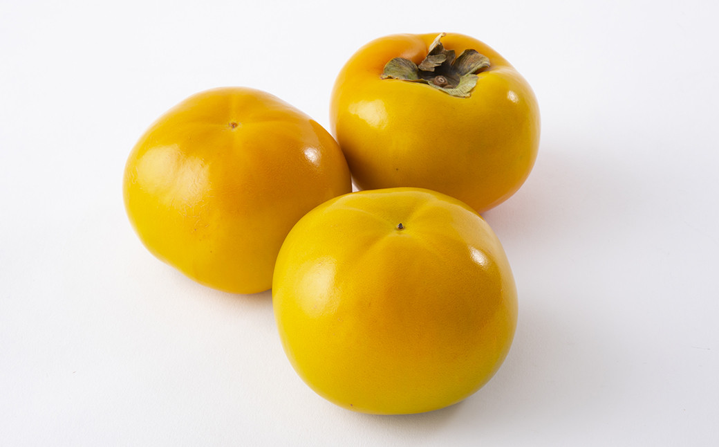 【年4回定期便】くまもと旬のフルーツ定期便 すいか 梨 柿 デコポン