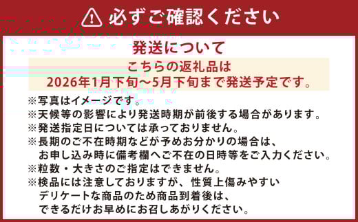 『まるで太陽の恵みをそのまま閉じ込めたような真っ赤な大玉トマト』約3.5kg 1箱 （熊本県産） 【2026年1月下旬発送開始】 野菜 やさい トマト とまと 大玉トマト