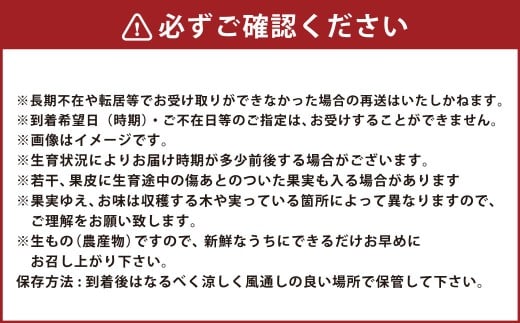 【年4回定期便】 デコポン約3kg （8～12玉入り）×4回 （計約12kg） 【2026年12月上旬発送開始】 でこぽん 果物 くだもの フルーツ 果実 果汁 定期便 年4回 贈り物 熊本県 熊本県産