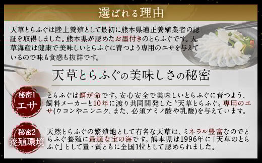 【白子付】【大皿】 国産 最高級!! 天草とらふぐ コース 【2025年12月上旬発送開始】 6種 セット 河豚 フグ ふぐ 刺し身 刺身 さしみ 白子 お魚 魚 さかな 魚介 魚介類
