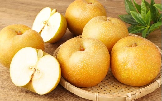 熊本県産 幸水梨 2キロ 【2026年7月下旬発送開始】 5～6玉入り 梨 なし ナシ フルーツ 果物