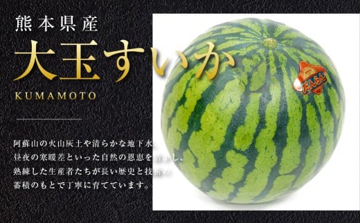 大玉すいか 1玉入り S以上 約2kg 【2026年5月上旬～2026年6月下旬発送予定】スイカ 甘いフルーツ 名産果物 果物 熊本県